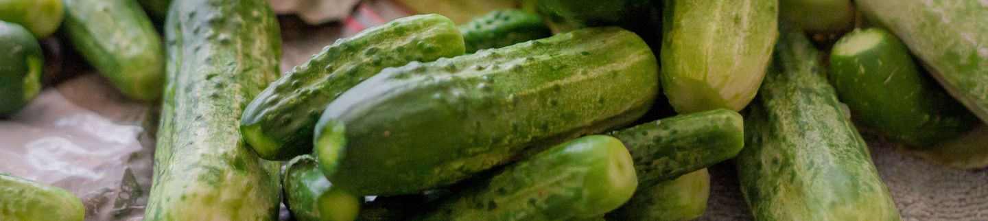 Banner image for The Pickle Guys at The Market Line