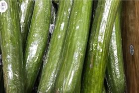 Mini Seedless Cucumbers - 1lb : Grocery fast delivery by App or Online