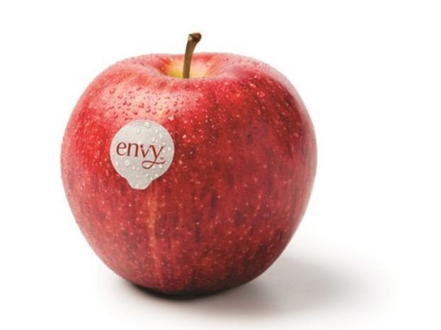 Buy Organic Envy Apples Online | Mercato