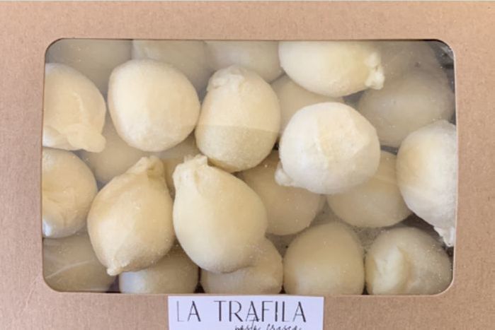 COMPRA ORA Trafila Spaghetti per Torchio N°7 – Bertoldi Shop