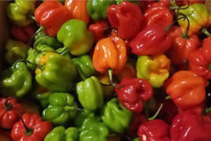 Buy Jamaican Pepper, (Packaged) Online | Mercato