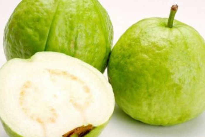 Buy Taiwan Guava Online | Mercato