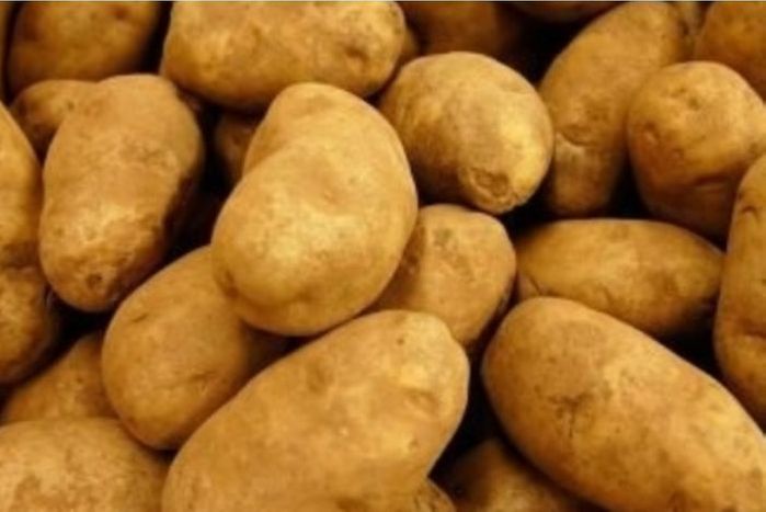 buy-russet-potatoes-10-pound-bags-online-mercato