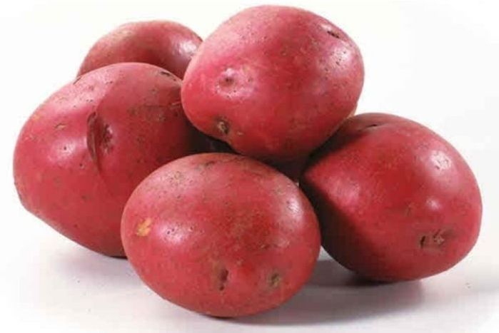 Buy Red Potato - 5lb. Bag Online | Mercato