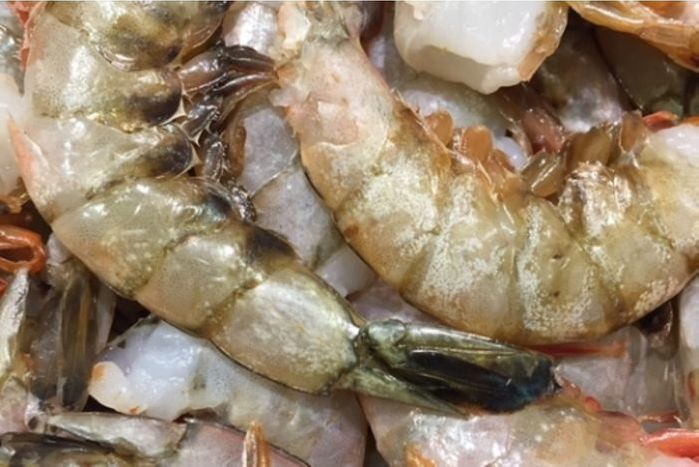 Buy U12 Wild Mexico Shrimp Shell On Online Mercato