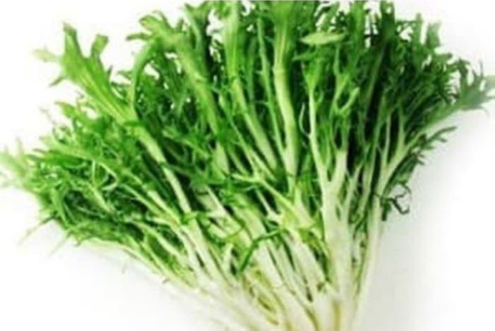 Buy Frisee Lettuce Online Mercato