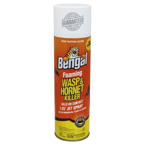 Buy Bengal Wasp & Hornet Killer, Foaming - 18... Online | Mercato