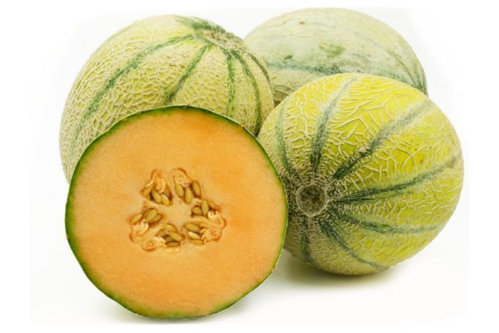 Melon 'Cavaillon Espagnol