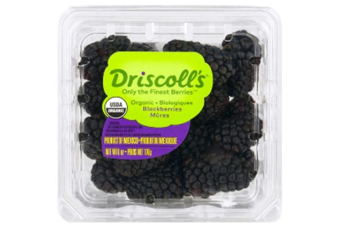 Buy Driscolls Blackberries Organic 6 Ounces Online Mercato