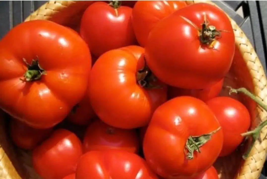 Order Hydroponic Tomatoes food online from Fligner Market store, Lorain on bringmethat.com