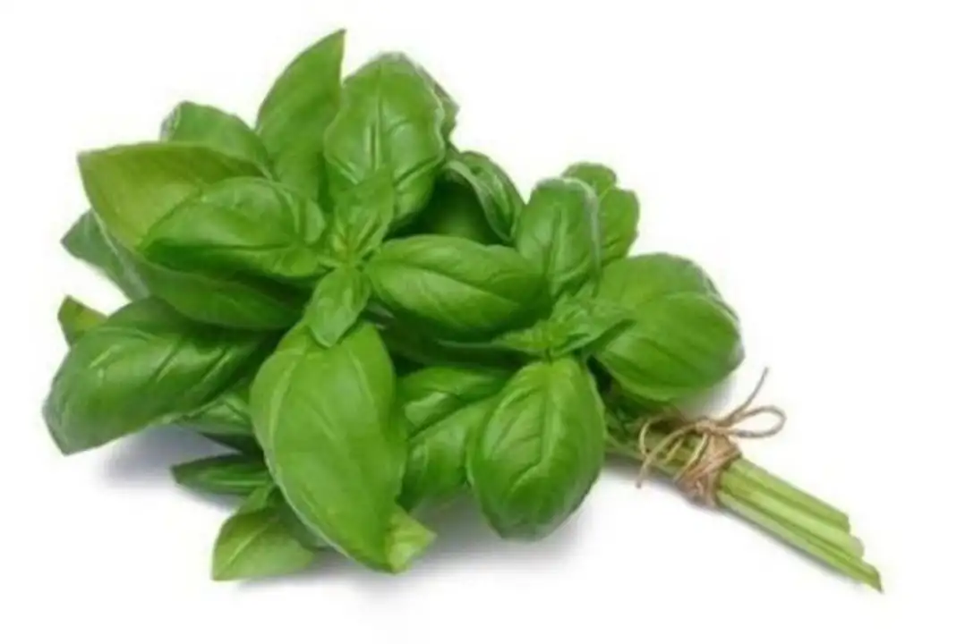 Order Rolling Hills Basil 1.5 oz food online from Whole Foods Co-Op Denfeld store, Duluth on bringmethat.com