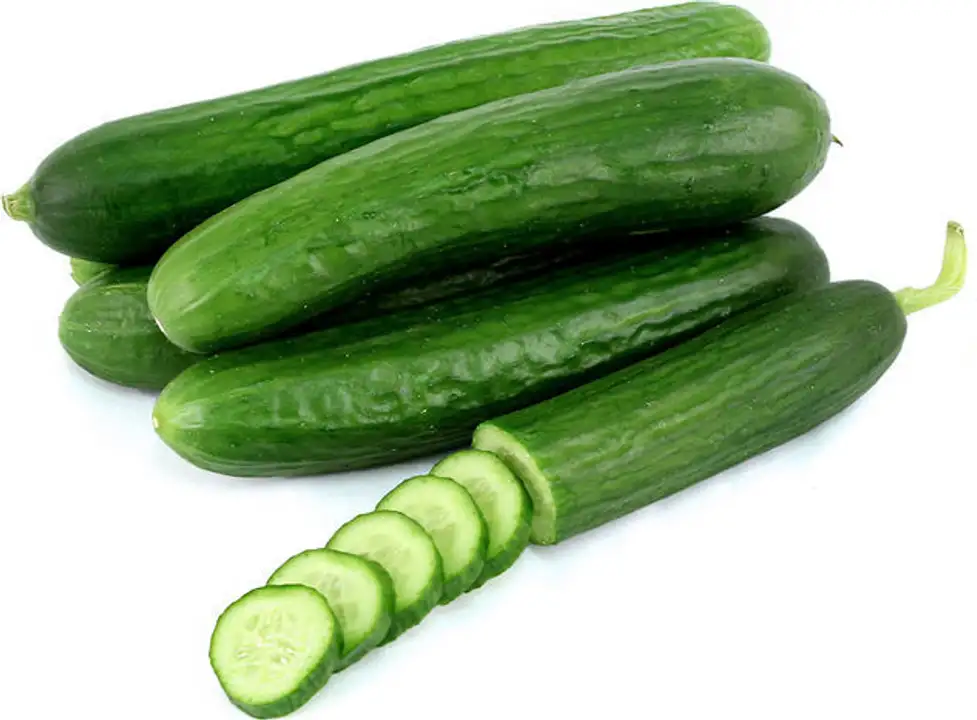 Order Persian Cucumbers (Various Brands) food online from Holiday farms store, Roslyn Heights on bringmethat.com