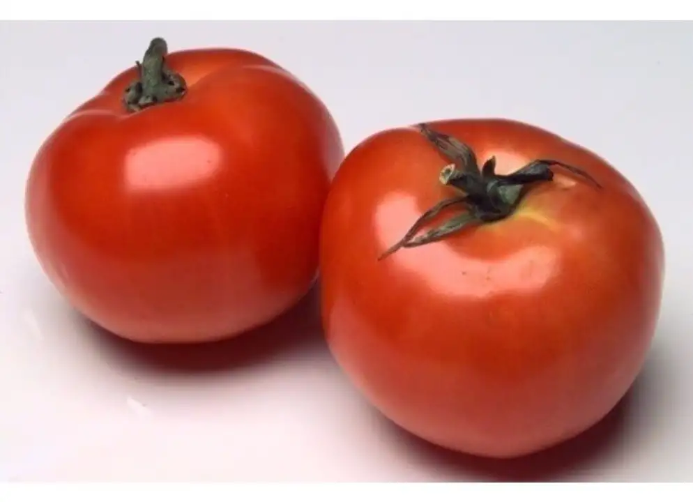 Order 5X6 Tomato food online from Meats Supreme store, Brooklyn on bringmethat.com