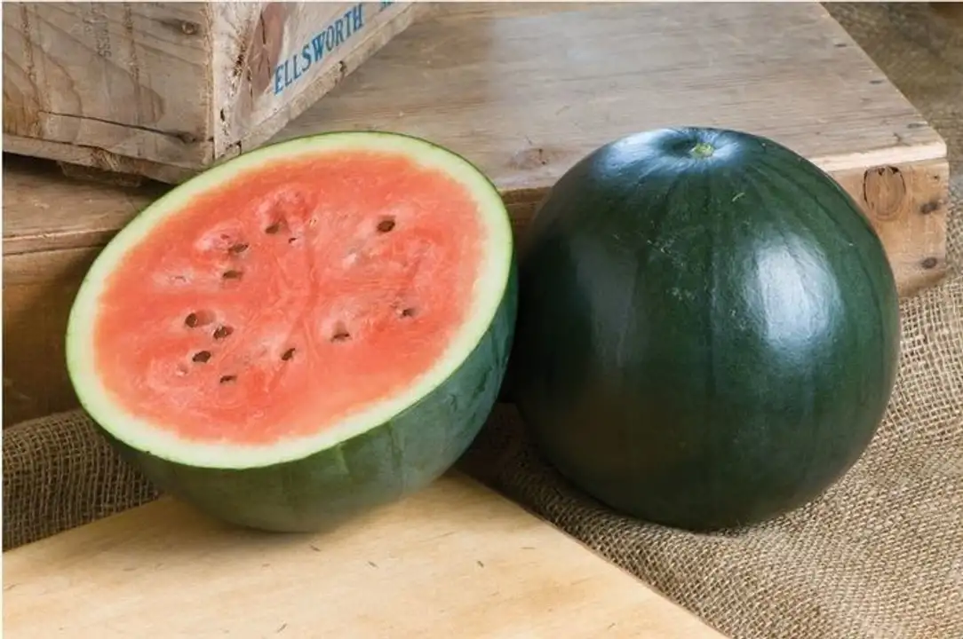 Order Baby Watermelon - 3 to 7 Pounds food online from Meats Supreme store, Brooklyn on bringmethat.com