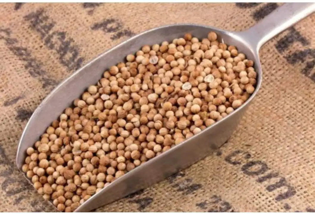 Order Bulk Organic Whole Coriander Seeds food online from Whole Foods Co-Op Denfeld store, Duluth on bringmethat.com