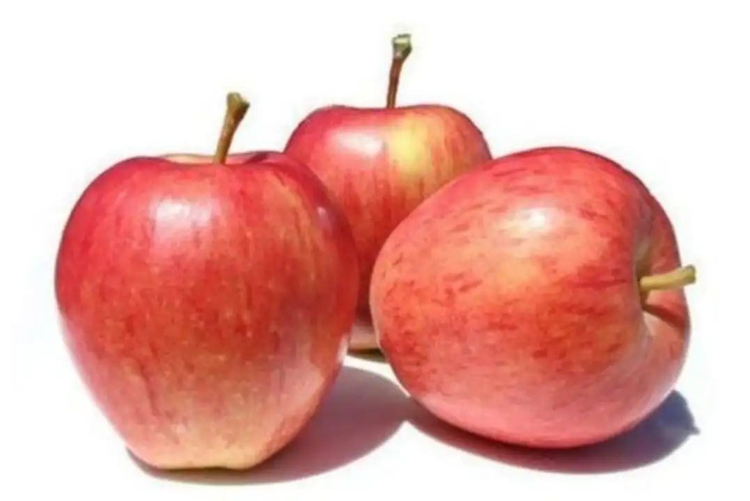 Order Apples Tote Bags food online from Holiday farms store, Roslyn Heights on bringmethat.com