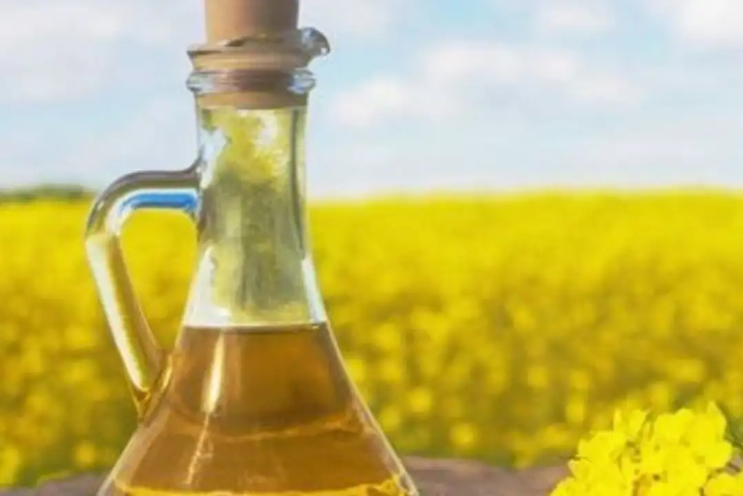 Order Bulk Canola Oil Organic food online from Whole Foods Co-Op Denfeld store, Duluth on bringmethat.com