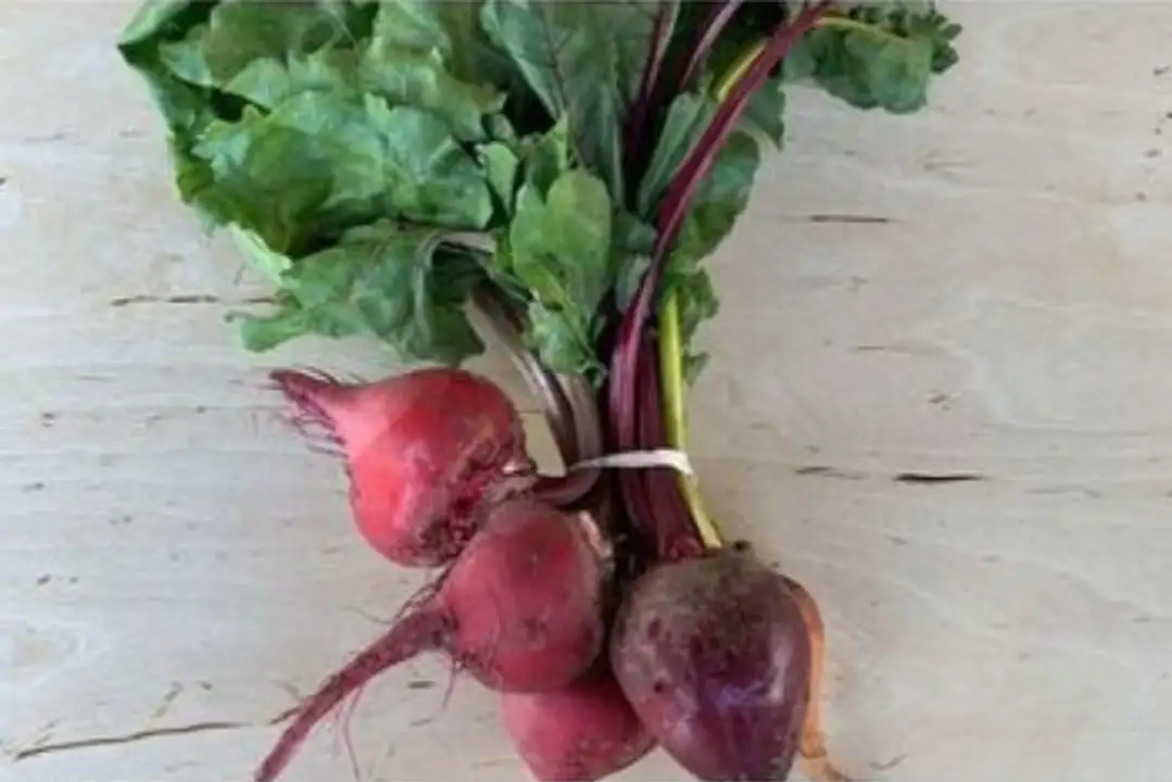 Order Organic Assorted Beets food online from Whole Foods Co-Op Denfeld store, Duluth on bringmethat.com