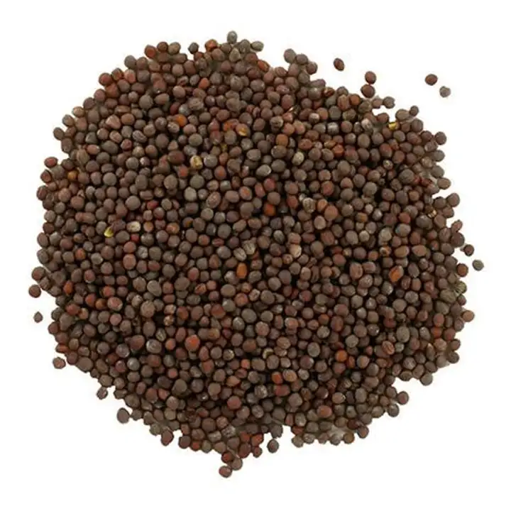 Order Bulk Organic Whole Brown Mustard Seed food online from Whole Foods Co-Op Denfeld store, Duluth on bringmethat.com