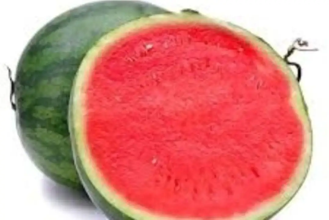Order Seedless Watermelon food online from Holiday farms store, Roslyn Heights on bringmethat.com