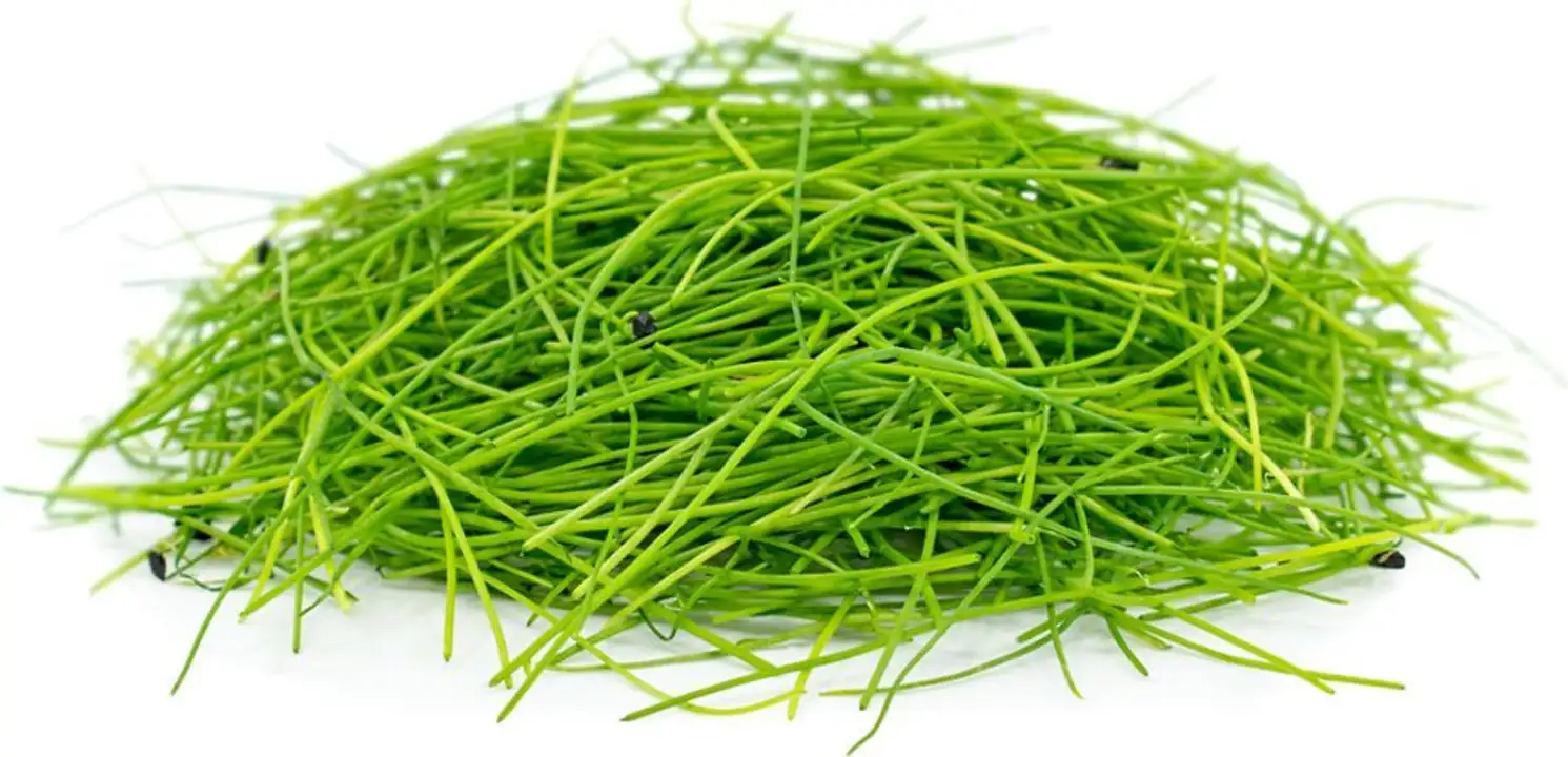 Order Spice Supreme Chives - 0.35 Ounces food online from Fligner Market store, Lorain on bringmethat.com
