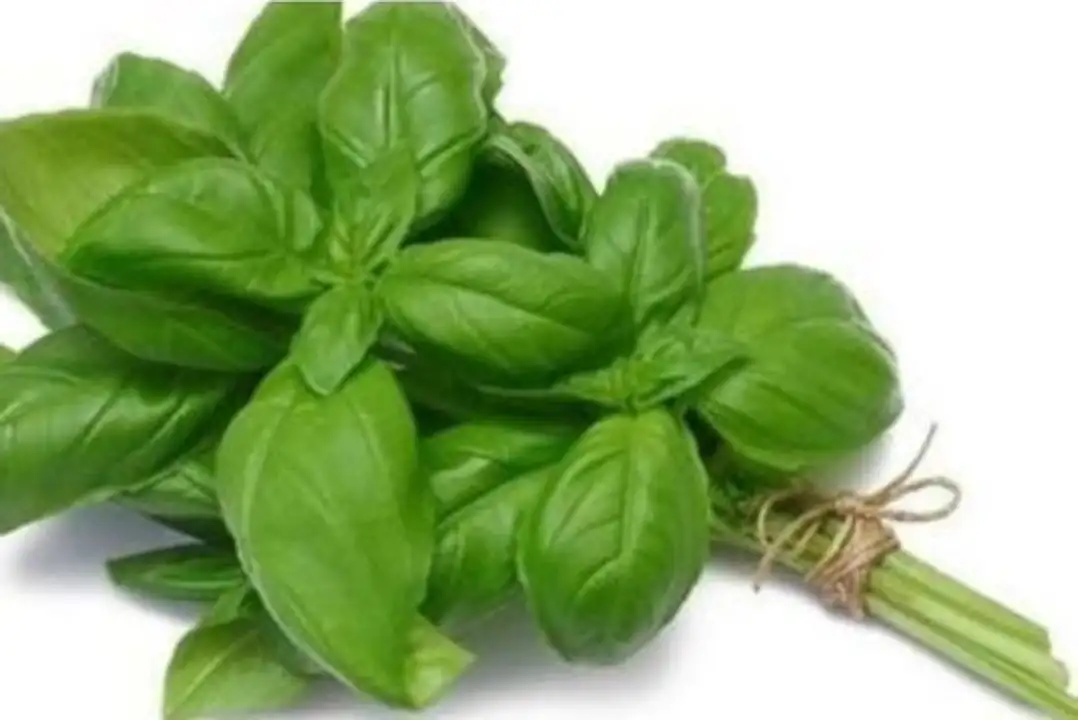Order Bay Produce Basil 0.75 oz food online from Whole Foods Co-Op Denfeld store, Duluth on bringmethat.com