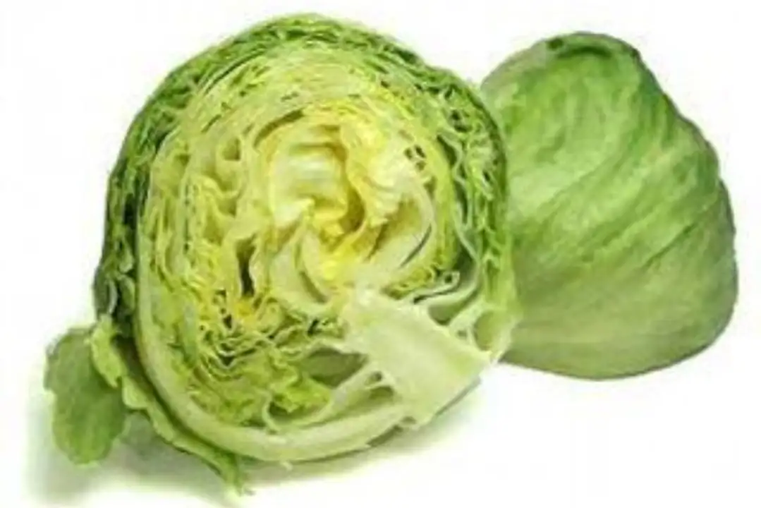 Order Iceberg Lettuce food online from Holiday farms store, Roslyn Heights on bringmethat.com