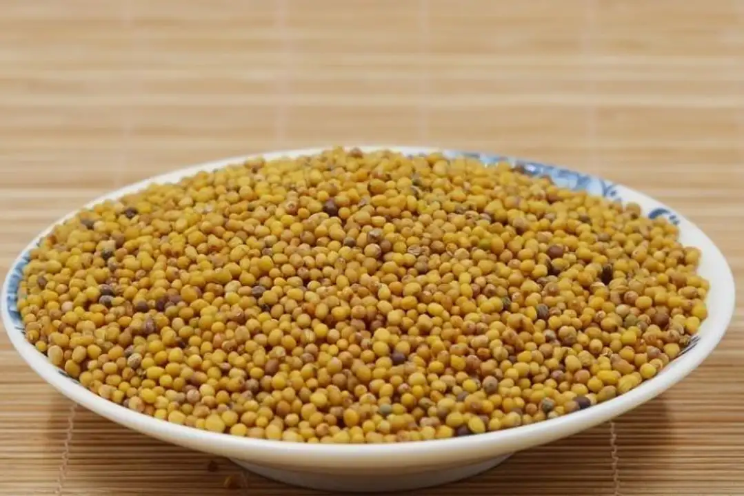 Order Bulk Whole Organic Yellow Mustard Seed food online from Whole Foods Co-Op Denfeld store, Duluth on bringmethat.com