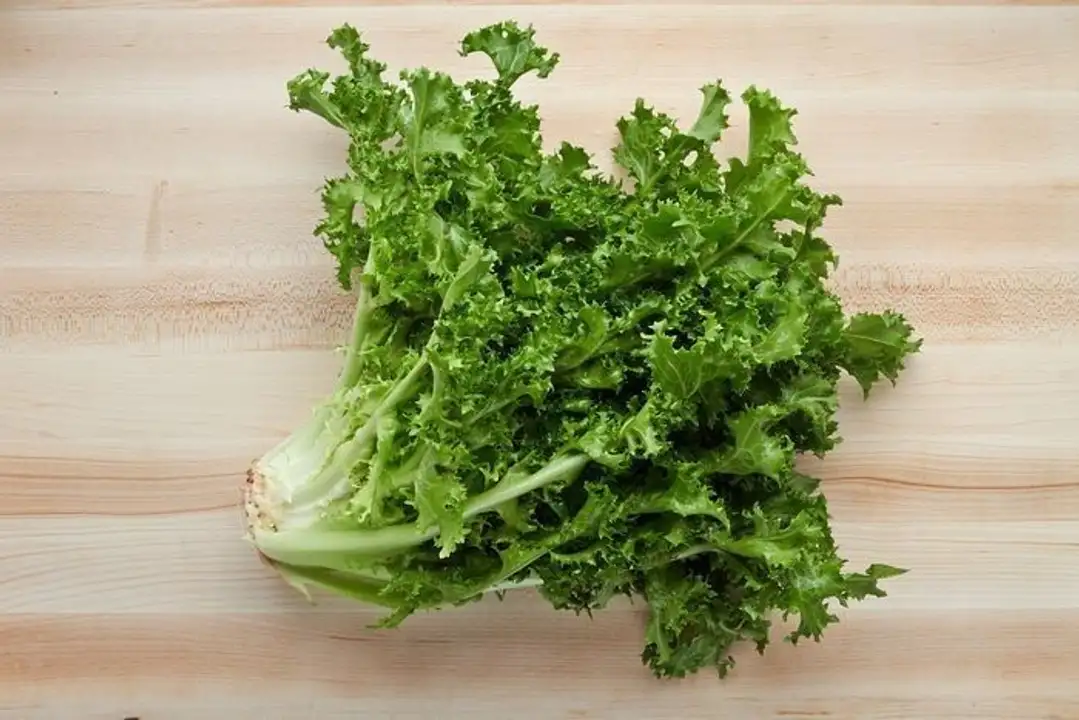 Order Chicory food online from Holiday farms store, Roslyn Heights on bringmethat.com