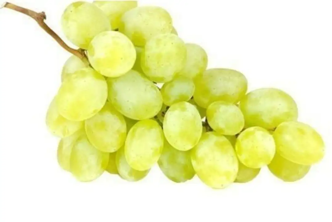 Order Cotton Candy Grapes food online from Whole Foods Co-Op Denfeld store, Duluth on bringmethat.com