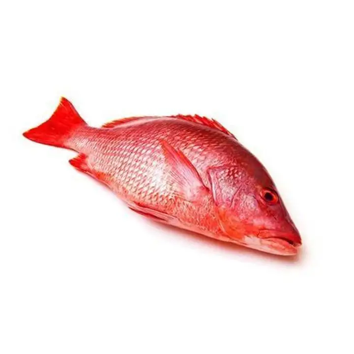 Order Red Snapper - 1 Pound food online from Fligner Market store, Lorain on bringmethat.com