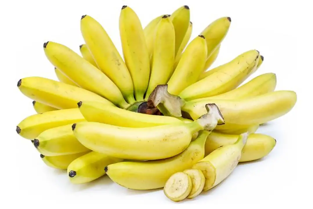 Order Organic Bananas food online from Holiday farms store, Roslyn Heights on bringmethat.com