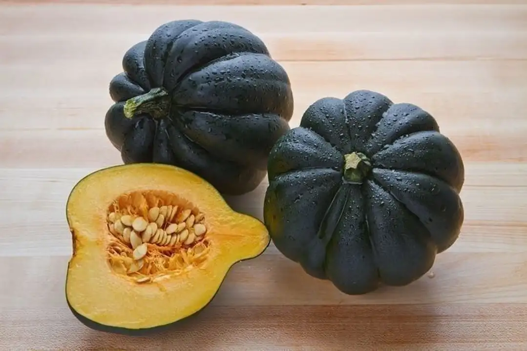 Order Squash Acorn food online from Holiday farms store, Roslyn Heights on bringmethat.com