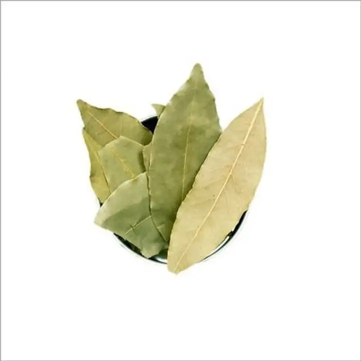 Order Bay Leaves - 3 Grams food online from Holiday farms store, Roslyn Heights on bringmethat.com
