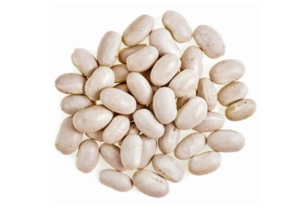 Order Bulk Organic Great Northern Beans food online from Whole Foods Co-Op Denfeld store, Duluth on bringmethat.com