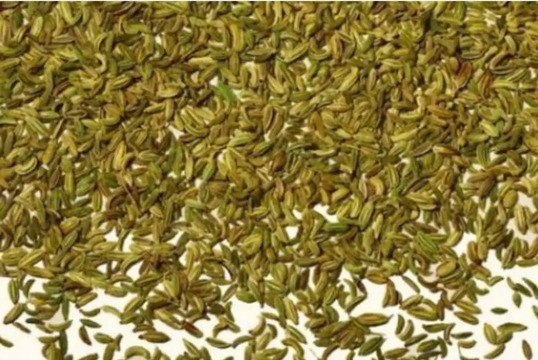 Order Bulk Organic Fennel Seed food online from Whole Foods Co-Op Denfeld store, Duluth on bringmethat.com