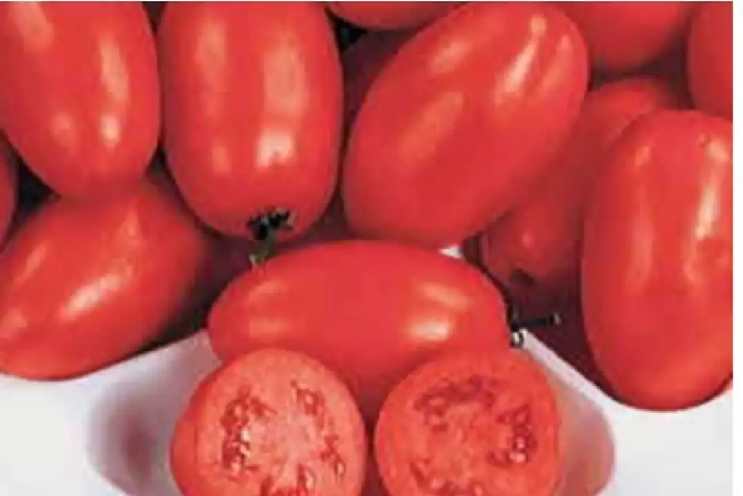 Order Roma Tomatoes food online from Fligner Market store, Lorain on bringmethat.com