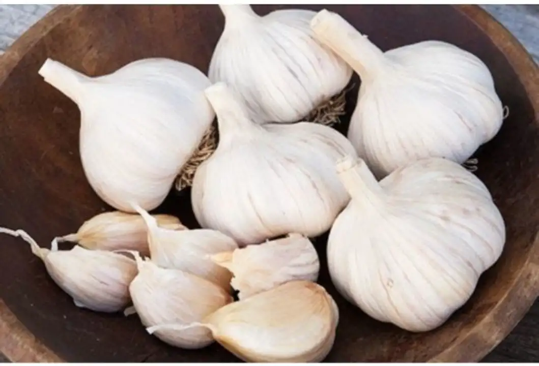 Order Colossal Garlic food online from Meats Supreme store, Brooklyn on bringmethat.com