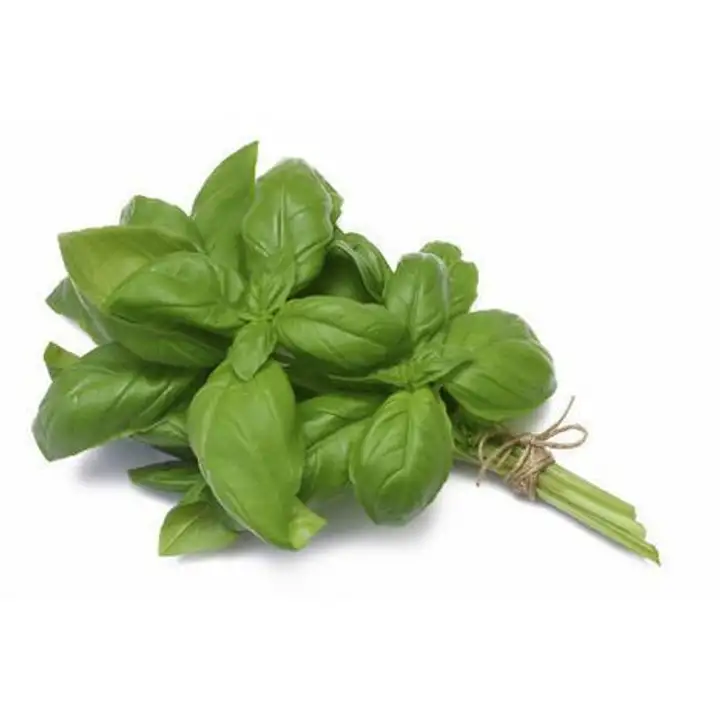 Order Basil - 1 Each food online from Holiday farms store, Roslyn Heights on bringmethat.com