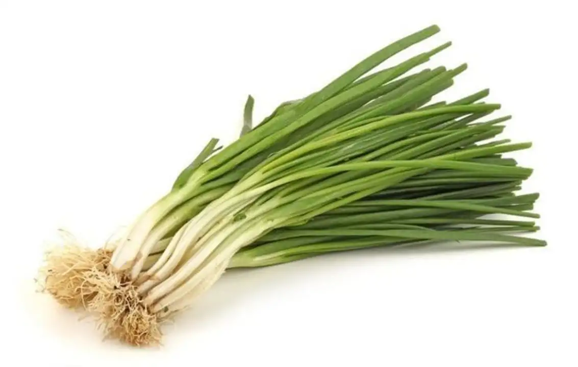 Order Scallions - 1 Each food online from Holiday farms store, Roslyn Heights on bringmethat.com