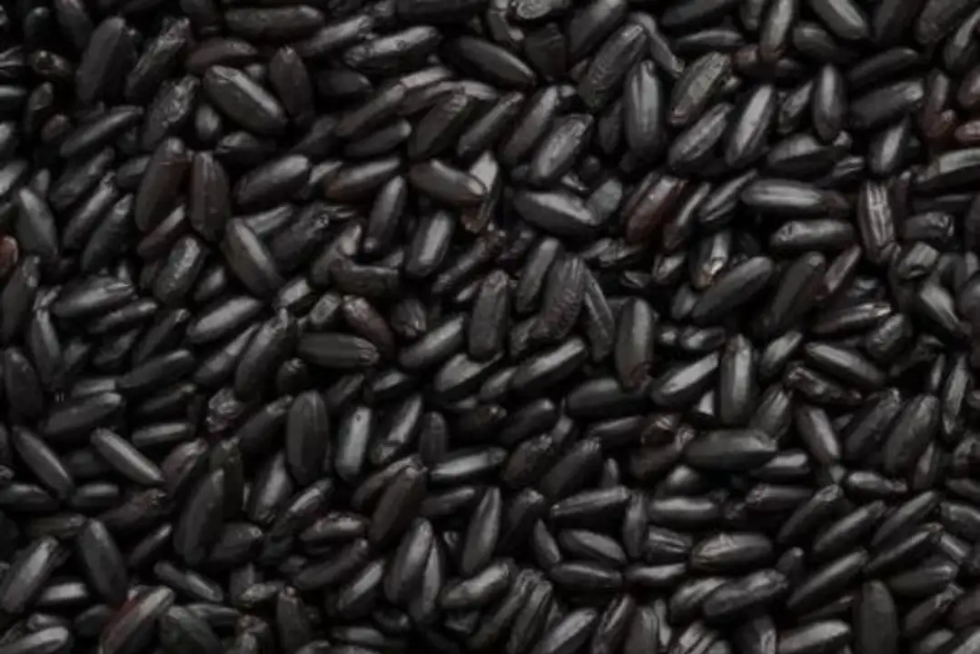 Order Bulk Forbidden Black Rice food online from Whole Foods Co-Op Denfeld store, Duluth on bringmethat.com