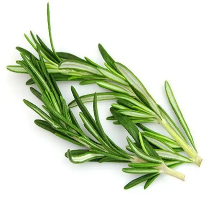 Order Rosemary Leaves - 1.2 Ounces food online from Holiday farms store, Roslyn Heights on bringmethat.com