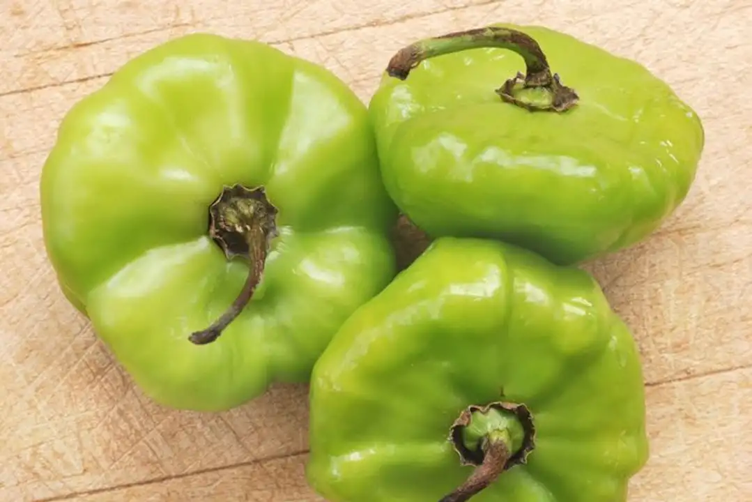Order Ajicito Peppers food online from Fligner Market store, Lorain on bringmethat.com