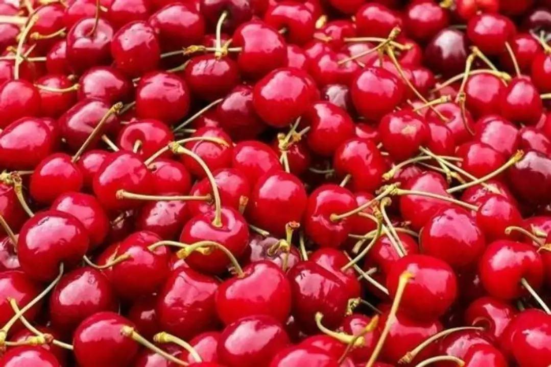 Order Cherries 10.5 Row food online from Holiday farms store, Roslyn Heights on bringmethat.com