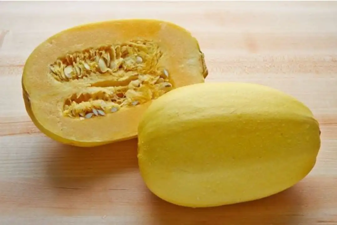 Order Spaghetti Squash food online from Holiday farms store, Roslyn Heights on bringmethat.com
