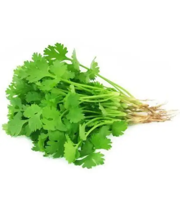 Order Fresh Produce Cilantro - 1 Each food online from Holiday farms store, Roslyn Heights on bringmethat.com