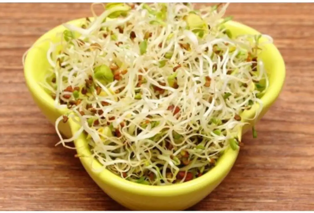 Order Alfalfa Sprouts food online from Fligner Market store, Lorain on bringmethat.com