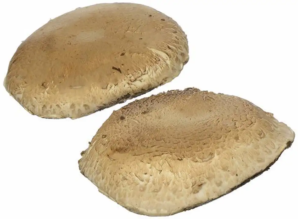 Order Organic Portabella Mushroom Caps - 6 Ounces food online from Whole Foods Co-Op Denfeld store, Duluth on bringmethat.com